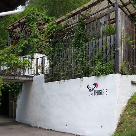 Haus Am Bergle Apartment Lauterbach  Exterior photo